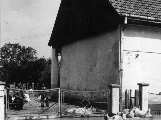 1970. Tiszai árvíz, Komlódtótfalu (Fotó: Hámor Szabolcs/VízDok)